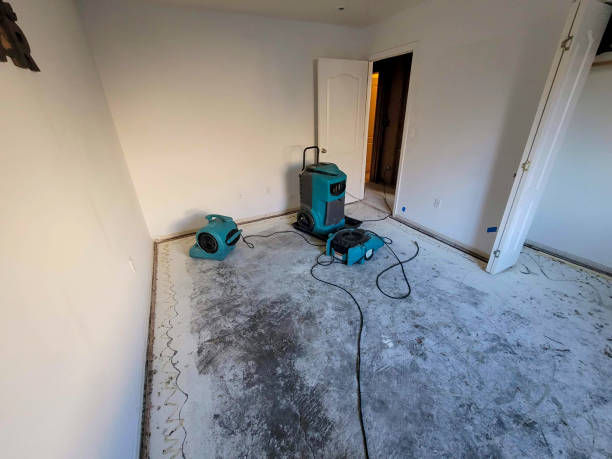 Best Commercial water damage restoration  in Jemison, AL