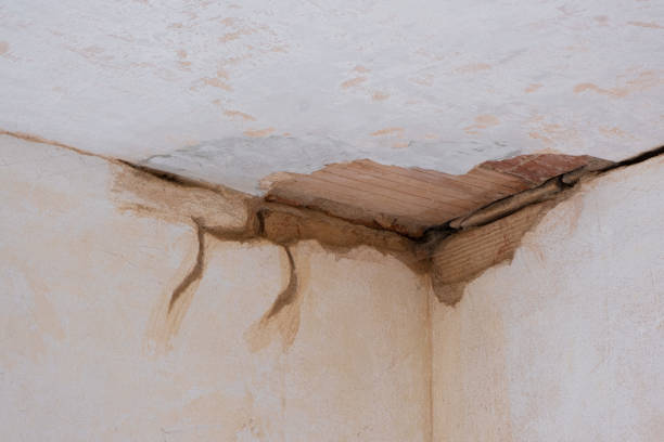 Best 24-hour water damage restoration  in Jemison, AL