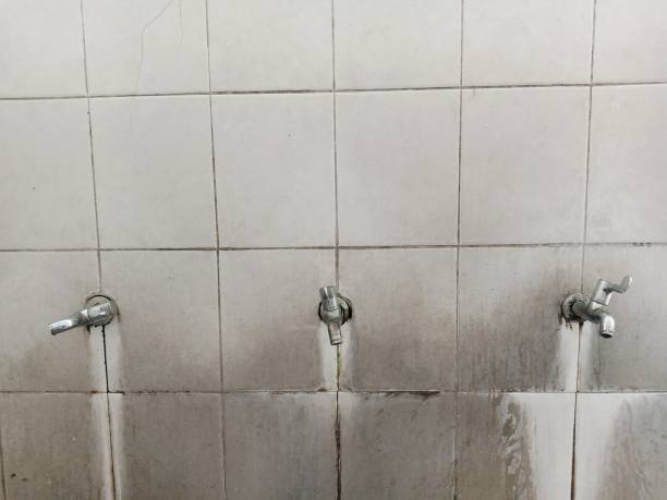 Best Professional water damage repair  in Jemison, AL